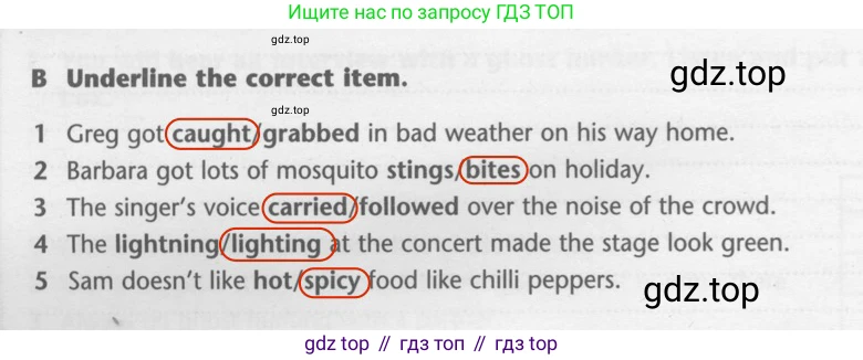 ГДЗ Английский язык (english), 7 класс контрольные задания (test booklet), авторы: Баранова Ксения Михайловна (Baranova Ksenia), Дули Дженни (Dooley Jenny), Мильруд Радислав Петрович (Millrood Radislav), Эванс Вирджиния (Evans Virginia), издательство Просвещение, Москва, 2023, серого цвета, страница 10, номер B, Решение 2 (2023-2027)