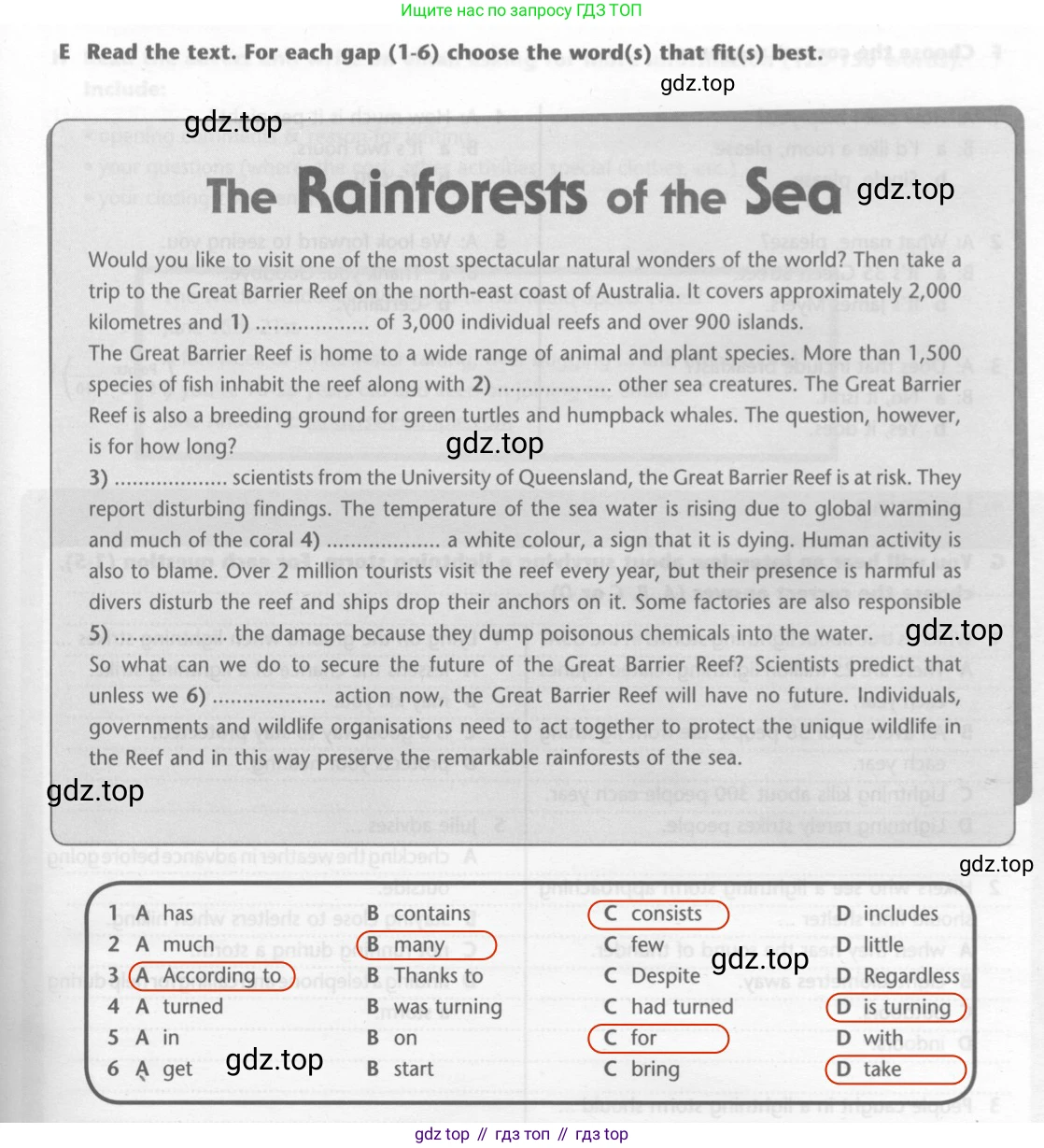 ГДЗ Английский язык (english), 7 класс контрольные задания (test booklet), авторы: Баранова Ксения Михайловна (Baranova Ksenia), Дули Дженни (Dooley Jenny), Мильруд Радислав Петрович (Millrood Radislav), Эванс Вирджиния (Evans Virginia), издательство Просвещение, Москва, 2023, серого цвета, страница 17, номер E, Решение 2 (2023-2027)