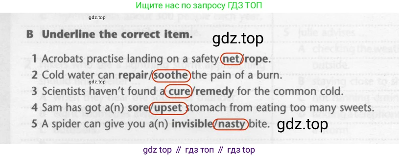 ГДЗ Английский язык (english), 7 класс контрольные задания (test booklet), авторы: Баранова Ксения Михайловна (Baranova Ksenia), Дули Дженни (Dooley Jenny), Мильруд Радислав Петрович (Millrood Radislav), Эванс Вирджиния (Evans Virginia), издательство Просвещение, Москва, 2023, серого цвета, страница 20, номер B, Решение 2 (2023-2027)