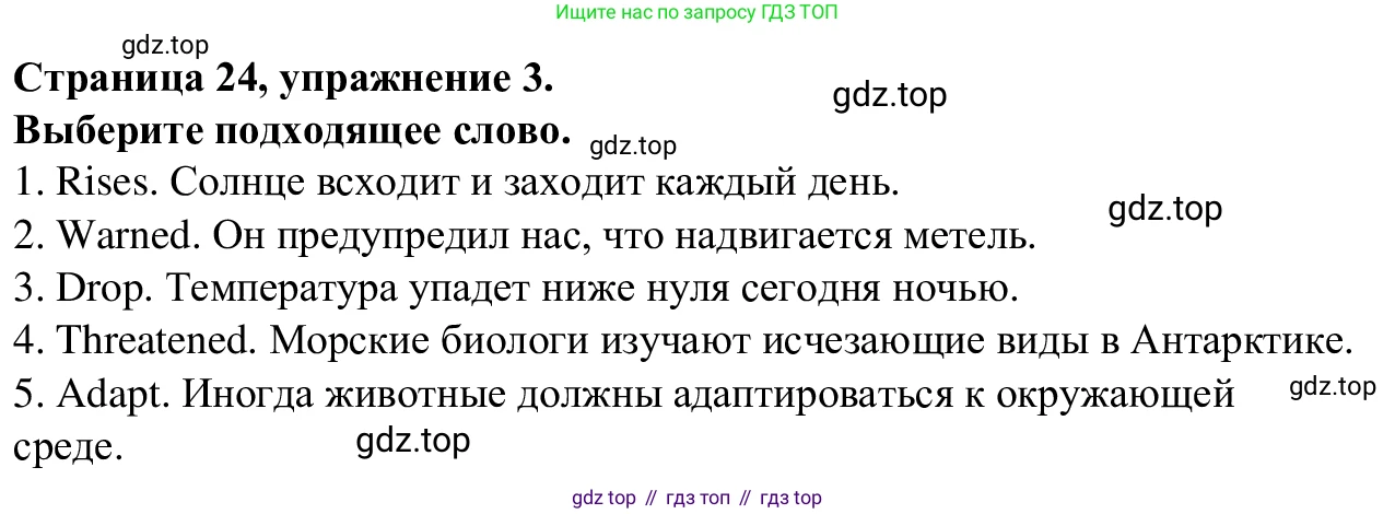 Английский язык (english), 7 класс Рабочая тетрадь (workbook), авторы: Баранова Ксения Михайловна (Baranova Ksenia), Дули Дженни (Dooley Jenny), Копылова Виктория Викторовна (Kopylova Victoria), Мильруд Радислав Петрович (Millrood Radislav), Эванс Вирджиния (Evans Virginia), издательство Просвещение, Москва, 2023, белого цвета, страница 24, номер 3, Решение 1 (2023-2027)