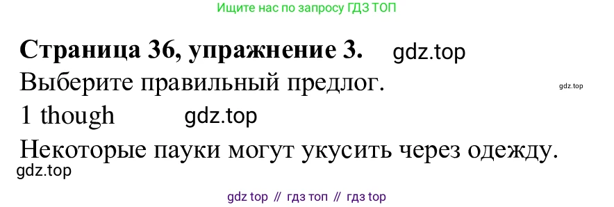 Английский язык (english), 7 класс Рабочая тетрадь (workbook), авторы: Баранова Ксения Михайловна (Baranova Ksenia), Дули Дженни (Dooley Jenny), Копылова Виктория Викторовна (Kopylova Victoria), Мильруд Радислав Петрович (Millrood Radislav), Эванс Вирджиния (Evans Virginia), издательство Просвещение, Москва, 2023, белого цвета, страница 36, номер 3, Решение 1 (2023-2027)