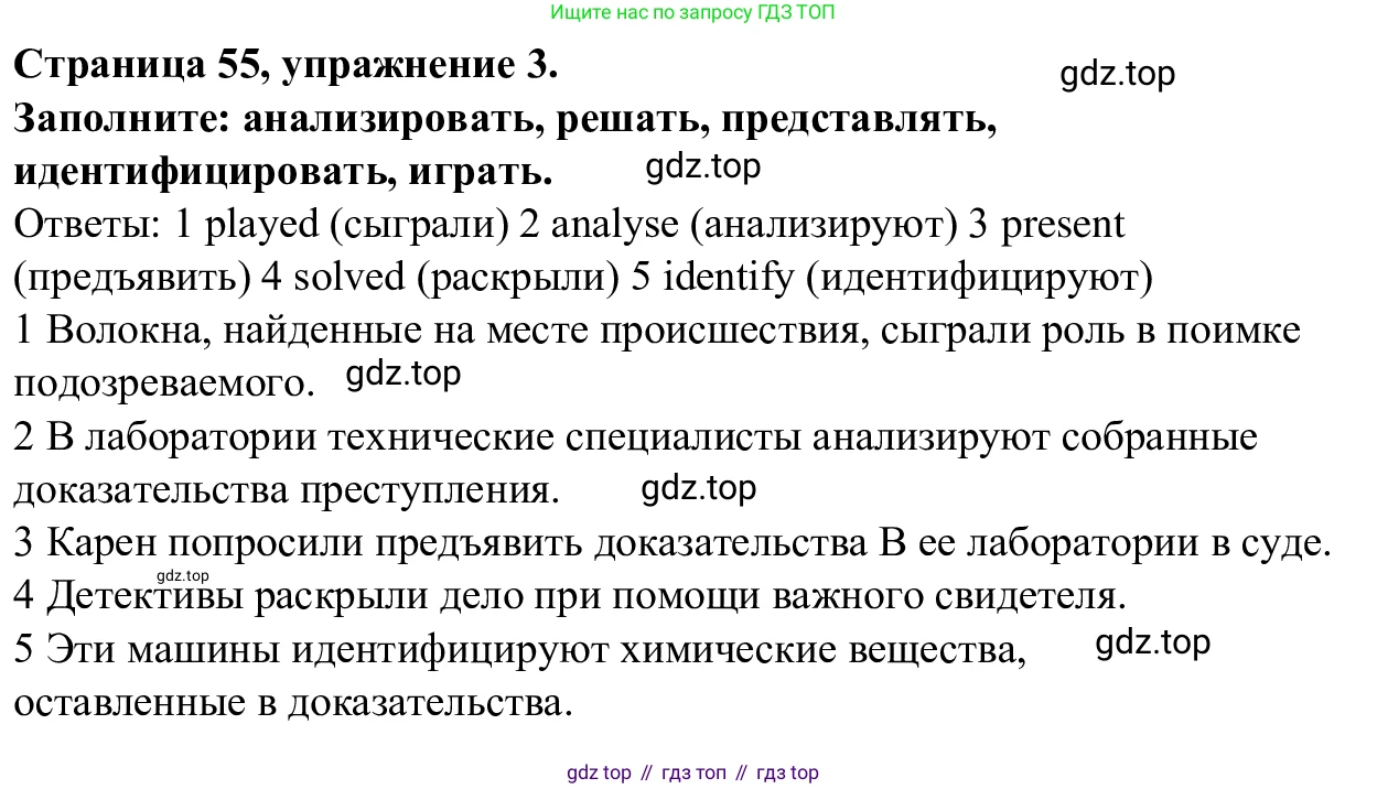 Английский язык (english), 7 класс Рабочая тетрадь (workbook), авторы: Баранова Ксения Михайловна (Baranova Ksenia), Дули Дженни (Dooley Jenny), Копылова Виктория Викторовна (Kopylova Victoria), Мильруд Радислав Петрович (Millrood Radislav), Эванс Вирджиния (Evans Virginia), издательство Просвещение, Москва, 2023, белого цвета, страница 55, номер 3, Решение 1 (2023-2027)