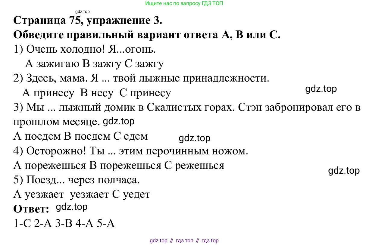 Английский язык (english), 7 класс Рабочая тетрадь (workbook), авторы: Баранова Ксения Михайловна (Baranova Ksenia), Дули Дженни (Dooley Jenny), Копылова Виктория Викторовна (Kopylova Victoria), Мильруд Радислав Петрович (Millrood Radislav), Эванс Вирджиния (Evans Virginia), издательство Просвещение, Москва, 2023, белого цвета, страница 75, номер 3, Решение 1 (2023-2027)