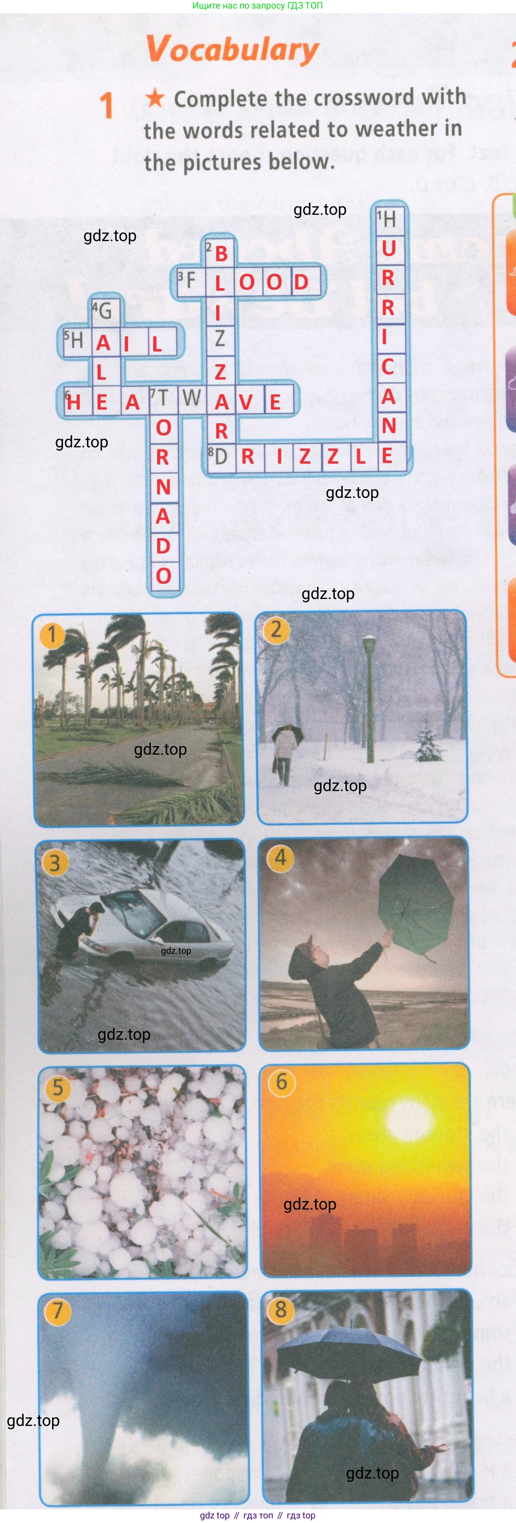 Английский язык (english), 7 класс Рабочая тетрадь (workbook), авторы: Баранова Ксения Михайловна (Baranova Ksenia), Дули Дженни (Dooley Jenny), Копылова Виктория Викторовна (Kopylova Victoria), Мильруд Радислав Петрович (Millrood Radislav), Эванс Вирджиния (Evans Virginia), издательство Просвещение, Москва, 2023, белого цвета, страница 24, номер 1, Решение 2 (2023-2027)