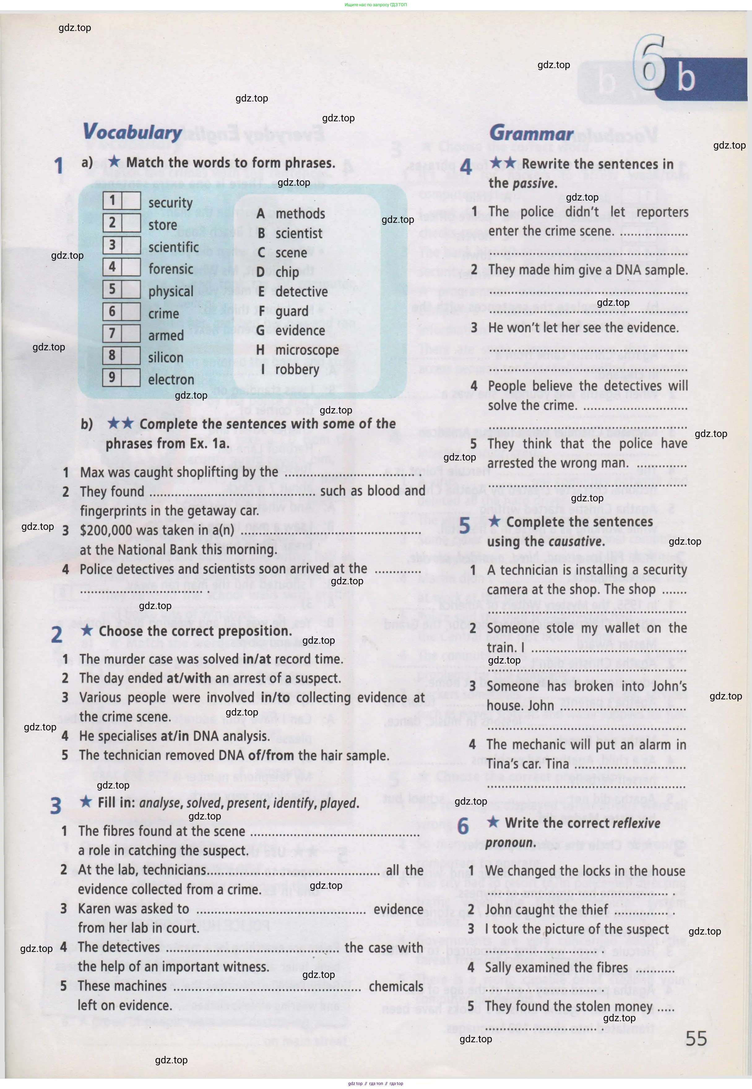 Английский язык (english), 7 класс Рабочая тетрадь (workbook), авторы: Баранова Ксения Михайловна (Baranova Ksenia), Дули Дженни (Dooley Jenny), Копылова Виктория Викторовна (Kopylova Victoria), Мильруд Радислав Петрович (Millrood Radislav), Эванс Вирджиния (Evans Virginia), издательство Просвещение, Москва, 2023, белого цвета, страница 55