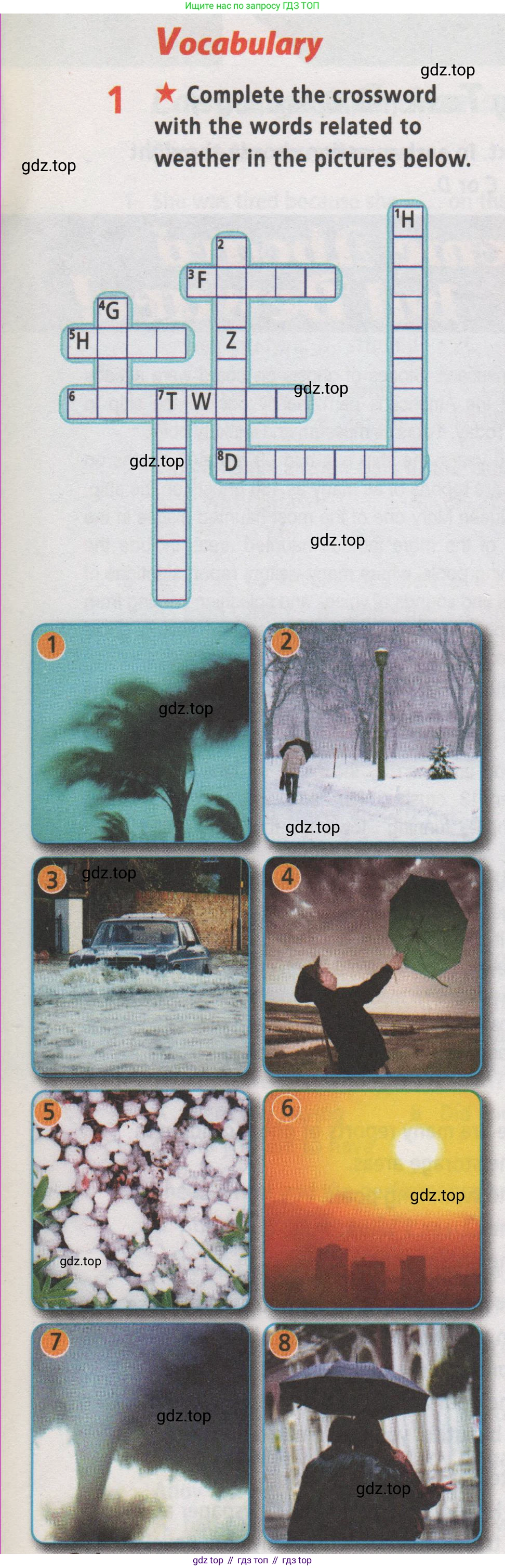 Английский язык (english), 7 класс Рабочая тетрадь (workbook), авторы: Баранова Ксения Михайловна (Baranova Ksenia), Дули Дженни (Dooley Jenny), Копылова Виктория Викторовна (Kopylova Victoria), Мильруд Радислав Петрович (Millrood Radislav), Эванс Вирджиния (Evans Virginia), издательство Просвещение, Москва, 2023, белого цвета, страница 24, номер 1, Условие 2019-2022