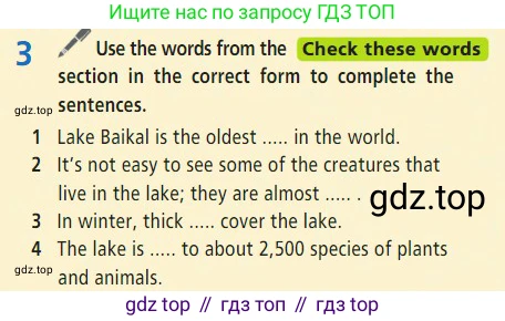 Английский язык (english), 7 класс Учебник (Student's book), авторы: Баранова Ксения Михайловна (Baranova Ksenia), Дули Дженни (Dooley Jenny), Копылова С А, Мильруд Радислав Петрович (Millrood Radislav), Эванс Вирджиния (Evans Virginia), издательство Просвещение, Москва, 2023, белого цвета, страница 24, номер 3, Условие 2023-2027