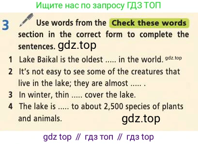 Английский язык (english), 7 класс Учебник (Student's book), авторы: Баранова Ксения Михайловна (Baranova Ksenia), Дули Дженни (Dooley Jenny), Копылова С А, Мильруд Радислав Петрович (Millrood Radislav), Эванс Вирджиния (Evans Virginia), издательство Просвещение, Москва, 2023, белого цвета, страница 24, номер 3, Условие 2019-2022
