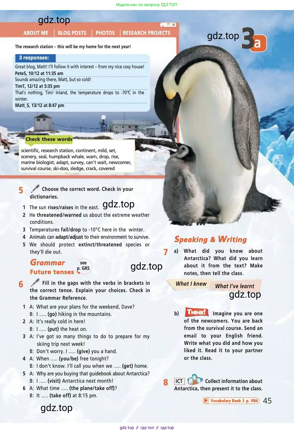 Английский язык (english), 7 класс Учебник (Student's book), авторы: Баранова Ксения Михайловна (Baranova Ksenia), Дули Дженни (Dooley Jenny), Копылова С А, Мильруд Радислав Петрович (Millrood Radislav), Эванс Вирджиния (Evans Virginia), издательство Просвещение, Москва, 2023, белого цвета, страница 45