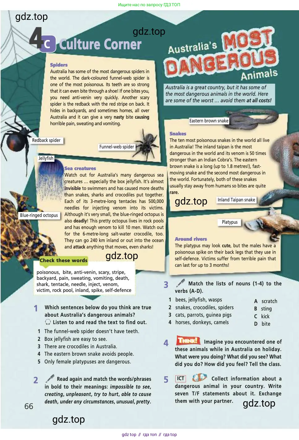 Английский язык (english), 7 класс Учебник (Student's book), авторы: Баранова Ксения Михайловна (Baranova Ksenia), Дули Дженни (Dooley Jenny), Копылова С А, Мильруд Радислав Петрович (Millrood Radislav), Эванс Вирджиния (Evans Virginia), издательство Просвещение, Москва, 2023, белого цвета, страница 66