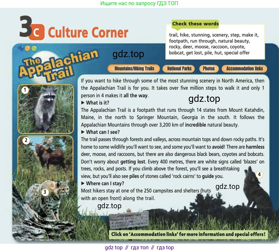Английский язык (english), 7 класс Учебник (Student's book), авторы: Баранова Ксения Михайловна (Baranova Ksenia), Дули Дженни (Dooley Jenny), Копылова С А, Мильруд Радислав Петрович (Millrood Radislav), Эванс Вирджиния (Evans Virginia), издательство Просвещение, Москва, 2023, белого цвета, страница 48, номер 1, Условие 2019-2022