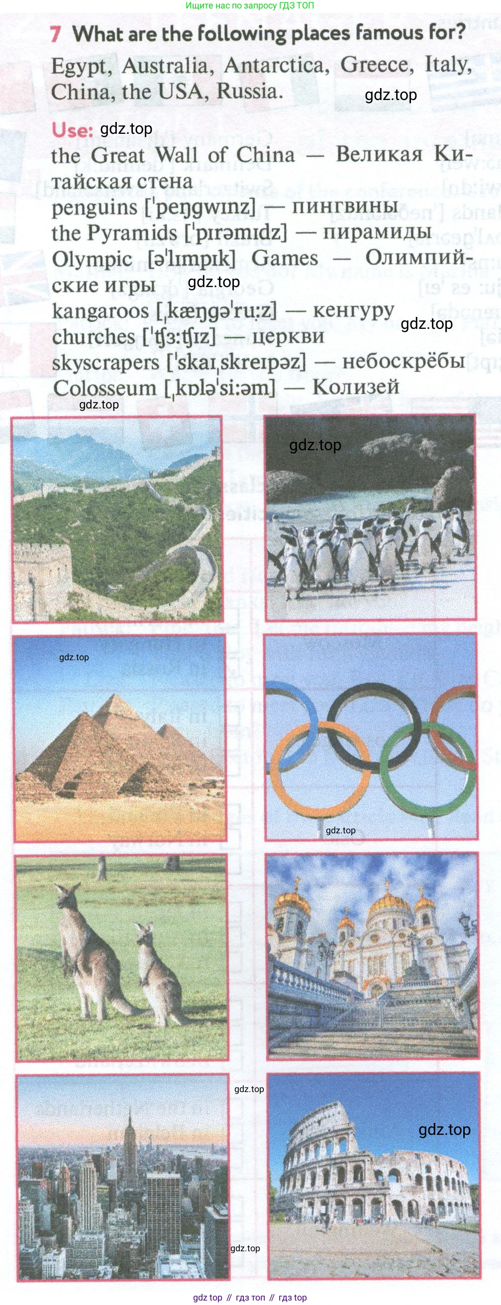 Английский язык (english), 7 класс Учебник (Student's book), автор: Биболетова Мерем Забатовна, издательство Просвещение, Москва, 2023, страница 36, номер 7, Условие 2023-2024