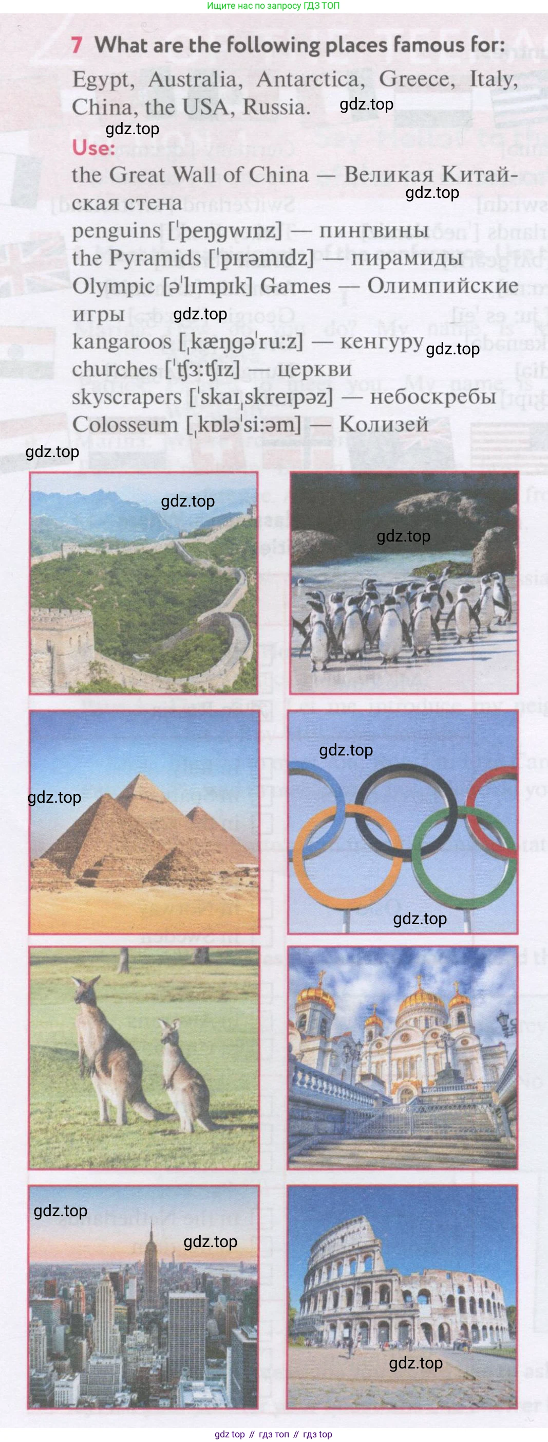 Английский язык (english), 7 класс Учебник (Student's book), автор: Биболетова Мерем Забатовна, издательство Просвещение, Москва, 2023, страница 36, номер 7, Условие 2017-2022