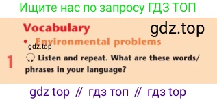 Английский язык (english), 7 класс Учебник (Student's book), авторы: Дули Дженни (Dooley Jenny), Оби Боб (Obee Bob), Мухамеджанова Наталья (Mukhamedjanova Natalya), Манапбаева Жаннура (Manapbayeva Zhannura), издательство Express Publishing, Алматы, 2025, зелёного цвета, страница 41, номер 1, Условие
