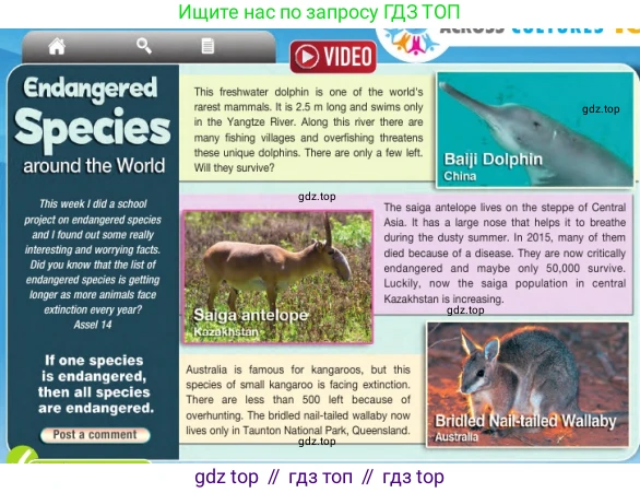 Английский язык (english), 7 класс Учебник (Student's book), авторы: Дули Дженни (Dooley Jenny), Оби Боб (Obee Bob), Мухамеджанова Наталья (Mukhamedjanova Natalya), Манапбаева Жаннура (Manapbayeva Zhannura), издательство Express Publishing, Алматы, 2025, зелёного цвета, страница 49, номер 2, Условие (продолжение 2)
