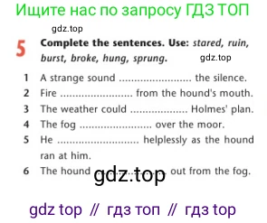 Английский язык (english), 7 класс Учебник (Student's book), авторы: Дули Дженни (Dooley Jenny), Оби Боб (Obee Bob), Мухамеджанова Наталья (Mukhamedjanova Natalya), Манапбаева Жаннура (Manapbayeva Zhannura), издательство Express Publishing, Алматы, 2025, зелёного цвета, страница 55, номер 5, Условие