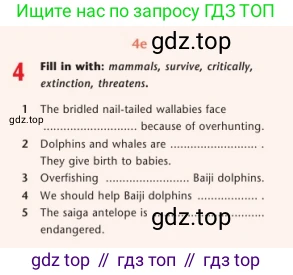 Английский язык (english), 7 класс Учебник (Student's book), авторы: Дули Дженни (Dooley Jenny), Оби Боб (Obee Bob), Мухамеджанова Наталья (Mukhamedjanova Natalya), Манапбаева Жаннура (Manapbayeva Zhannura), издательство Express Publishing, Алматы, 2025, зелёного цвета, страница 116, номер 4, Условие