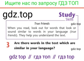 Английский язык (english), 7 класс Учебник (Student's book), авторы: Дули Дженни (Dooley Jenny), Оби Боб (Obee Bob), Мухамеджанова Наталья (Mukhamedjanova Natalya), Манапбаева Жаннура (Manapbayeva Zhannura), издательство Express Publishing, Алматы, 2025, зелёного цвета, страница 133, номер 3, Условие