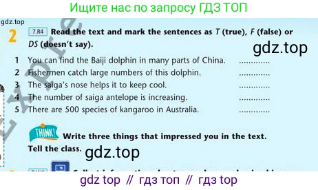 Английский язык (english), 7 класс Учебник (Student's book), авторы: Эванс Вирджиния (Evans Virginia), Дули Дженни (Dooley Jenny), Оби Боб (Obee Bob), издательство Express Publishing, Алматы, 2017, красного цвета, страница 49, номер 2, Условие