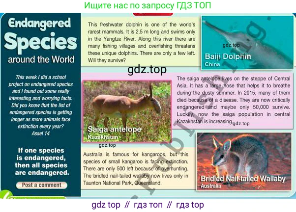 Английский язык (english), 7 класс Учебник (Student's book), авторы: Эванс Вирджиния (Evans Virginia), Дули Дженни (Dooley Jenny), Оби Боб (Obee Bob), издательство Express Publishing, Алматы, 2017, красного цвета, страница 49, номер 2, Условие (продолжение 3)