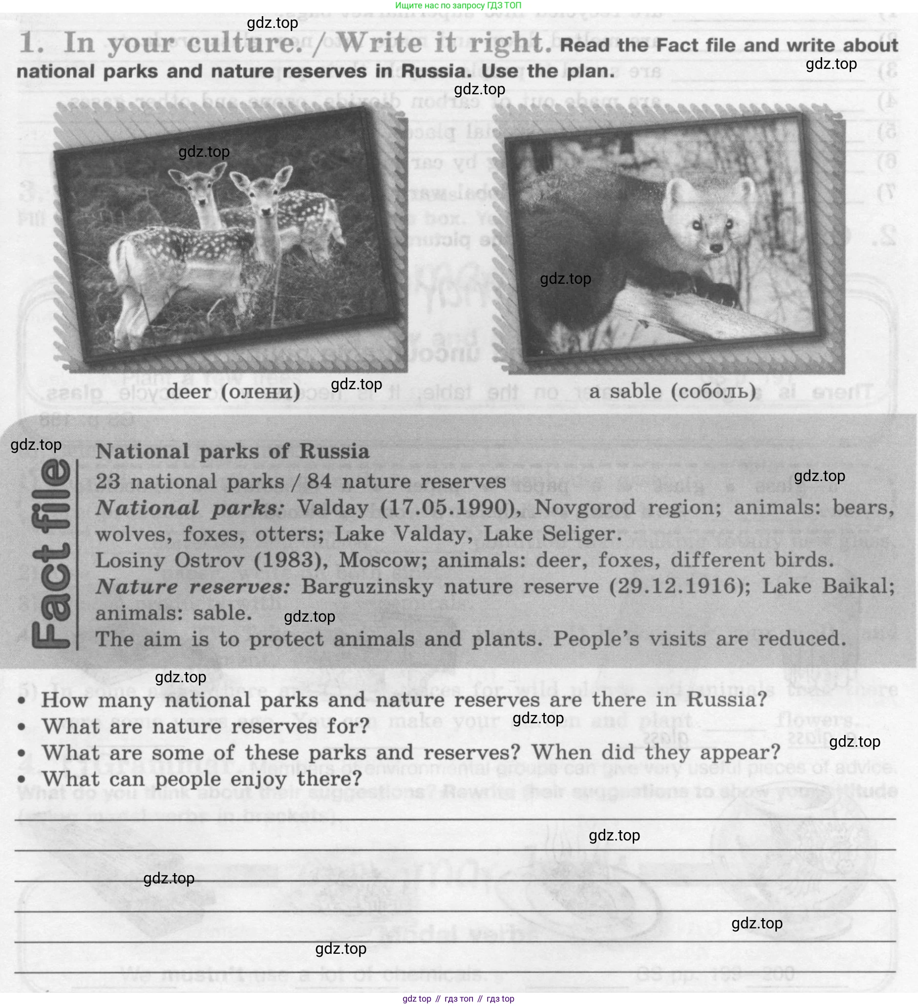 Английский язык (english), 7 класс рабочая тетрадь (activity book), авторы: Кузовлев Владимир Петрович (Kuzovlev Vladimir), Лапа Наталья Михайловна, Перегудова Эльвира Шакировна, Костина Ирина Павловна, Дуванова Ольга Викторовна, Кобец Юлия Николаевна, издательство Просвещение, Москва, 2019, страница 51, номер 1, Условие