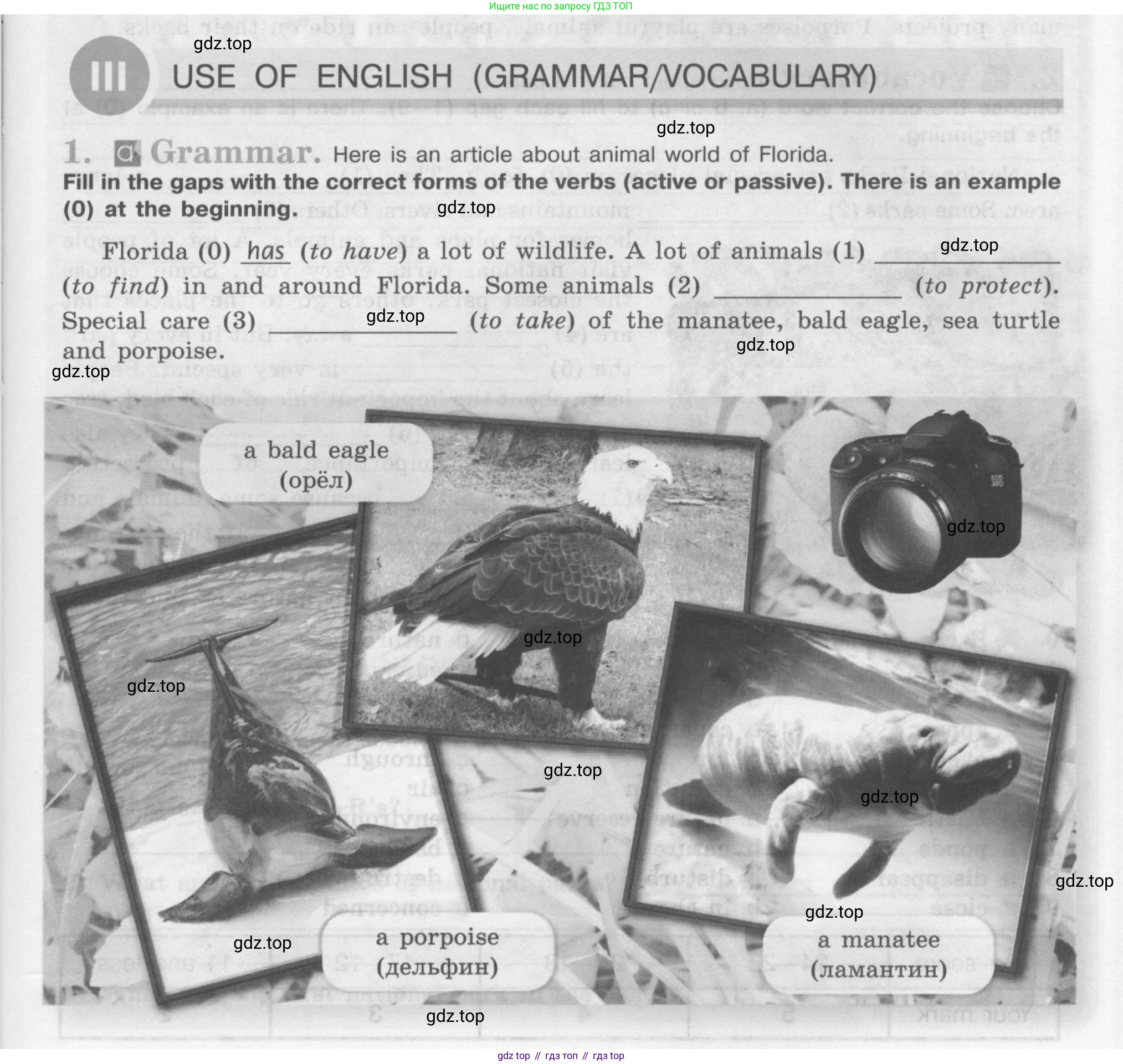 Английский язык (english), 7 класс рабочая тетрадь (activity book), авторы: Кузовлев Владимир Петрович (Kuzovlev Vladimir), Лапа Наталья Михайловна, Перегудова Эльвира Шакировна, Костина Ирина Павловна, Дуванова Ольга Викторовна, Кобец Юлия Николаевна, издательство Просвещение, Москва, 2019, страница 57, Условие