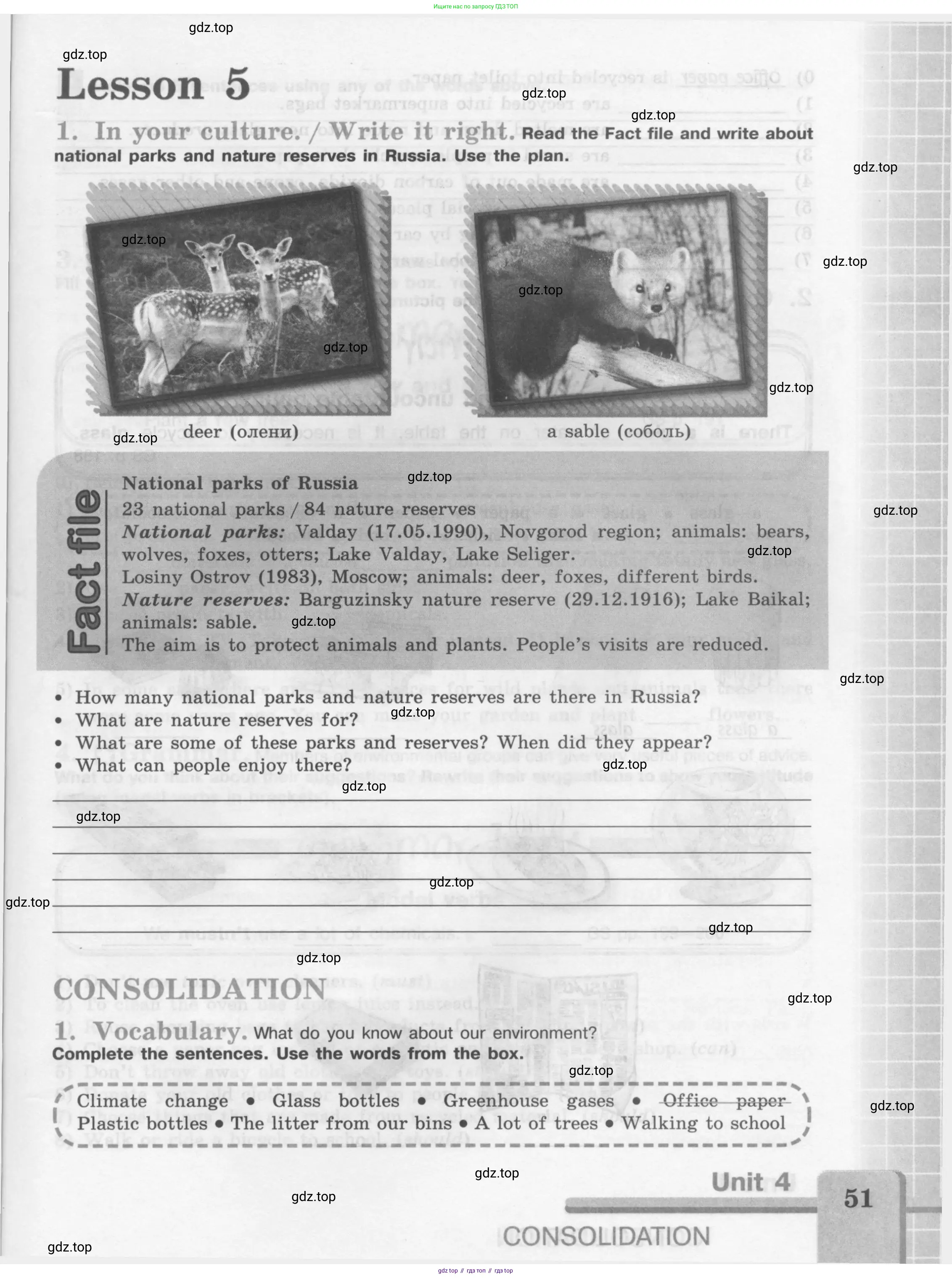 Английский язык (english), 7 класс рабочая тетрадь (activity book), авторы: Кузовлев Владимир Петрович (Kuzovlev Vladimir), Лапа Наталья Михайловна, Перегудова Эльвира Шакировна, Костина Ирина Павловна, Дуванова Ольга Викторовна, Кобец Юлия Николаевна, издательство Просвещение, Москва, 2019, страница 51