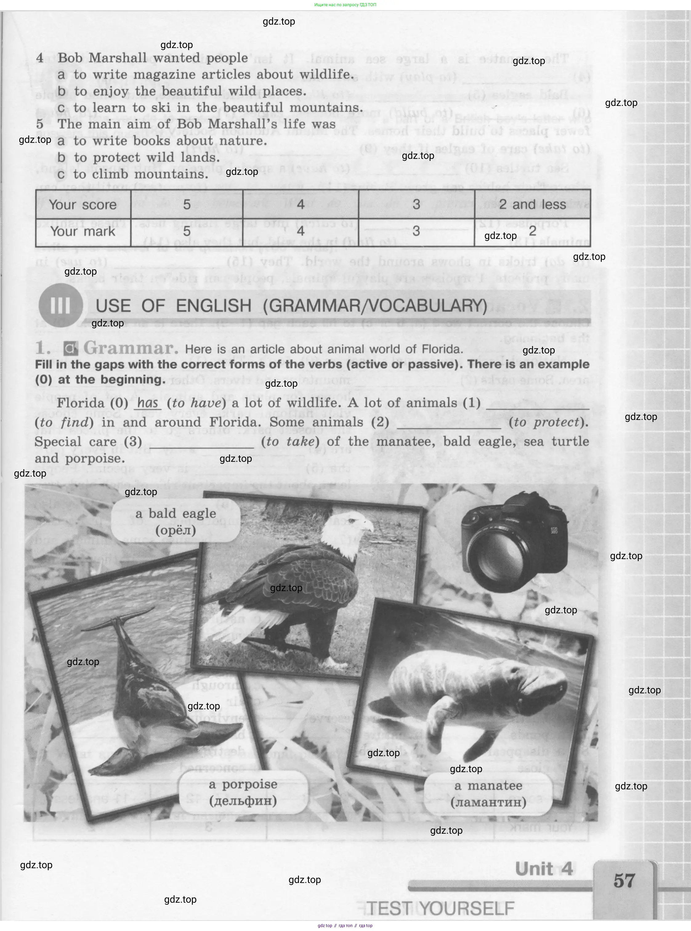 Английский язык (english), 7 класс рабочая тетрадь (activity book), авторы: Кузовлев Владимир Петрович (Kuzovlev Vladimir), Лапа Наталья Михайловна, Перегудова Эльвира Шакировна, Костина Ирина Павловна, Дуванова Ольга Викторовна, Кобец Юлия Николаевна, издательство Просвещение, Москва, 2019, страница 57