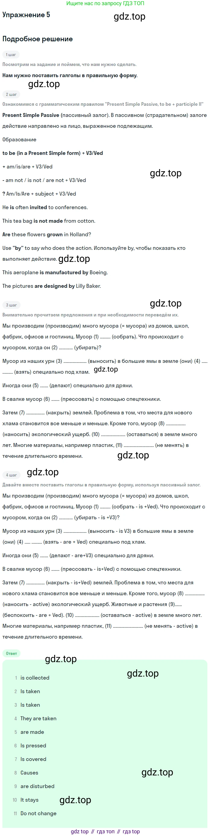 Английский язык (english), 7 класс рабочая тетрадь (activity book), авторы: Кузовлев Владимир Петрович (Kuzovlev Vladimir), Лапа Наталья Михайловна, Перегудова Эльвира Шакировна, Костина Ирина Павловна, Дуванова Ольга Викторовна, Кобец Юлия Николаевна, издательство Просвещение, Москва, 2019, страница 54, номер 5, Решение