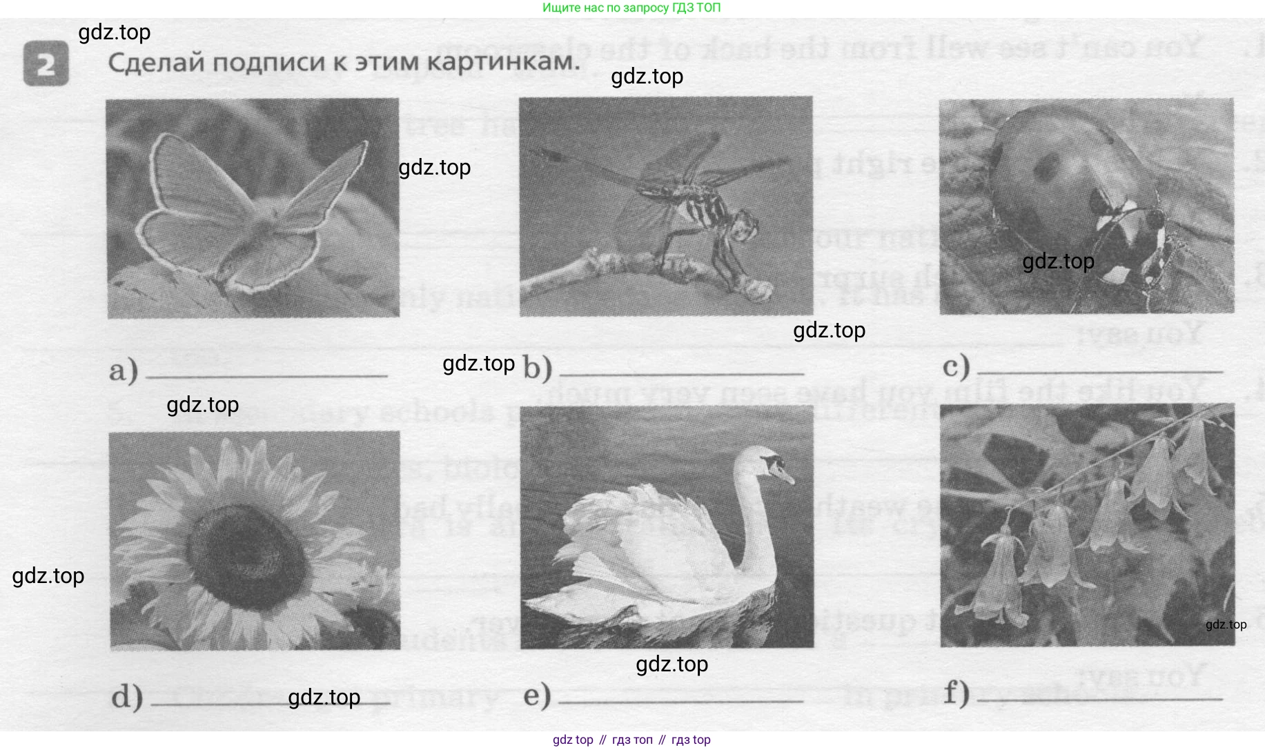 ГДЗ Английский язык (english), 7 класс Контрольные работы, авторы: Афанасьева Ольга Васильевна (Afanasyeva Olga), Михеева Ирина Владимировна (Mikheeva Irina), Баранова Ксения Михайловна (Baranova Ksenia), издательство Просвещение, Москва, 2017, белого цвета, страница 40, номер 2, Условие