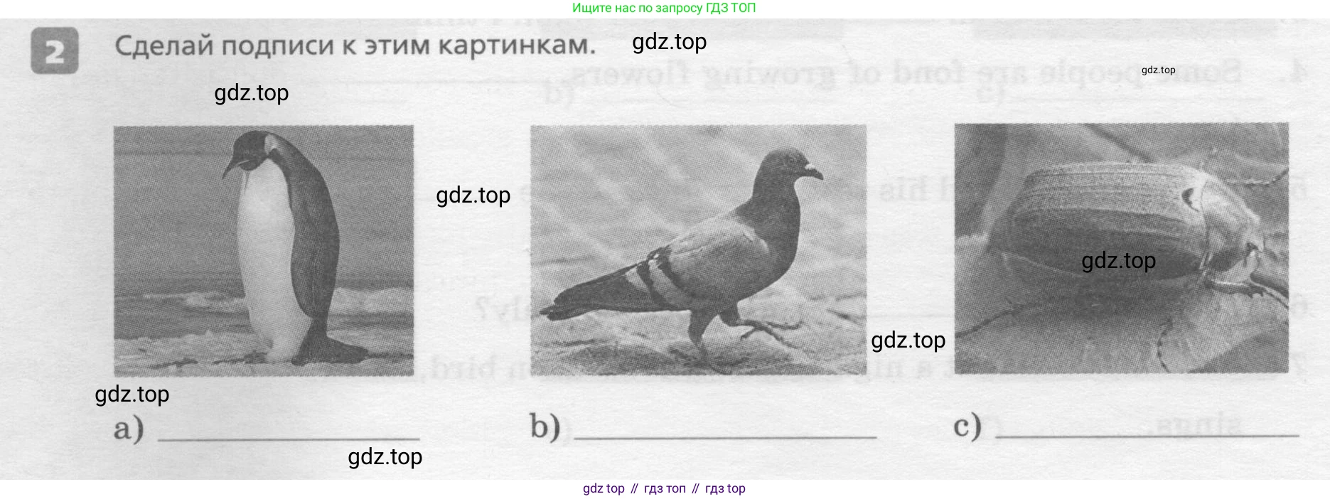 ГДЗ Английский язык (english), 7 класс Контрольные работы, авторы: Афанасьева Ольга Васильевна (Afanasyeva Olga), Михеева Ирина Владимировна (Mikheeva Irina), Баранова Ксения Михайловна (Baranova Ksenia), издательство Просвещение, Москва, 2017, белого цвета, страница 42, номер 2, Условие