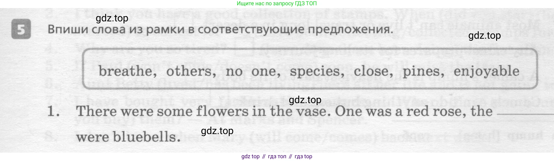 ГДЗ Английский язык (english), 7 класс Контрольные работы, авторы: Афанасьева Ольга Васильевна (Afanasyeva Olga), Михеева Ирина Владимировна (Mikheeva Irina), Баранова Ксения Михайловна (Baranova Ksenia), издательство Просвещение, Москва, 2017, белого цвета, страница 43, номер 5, Условие