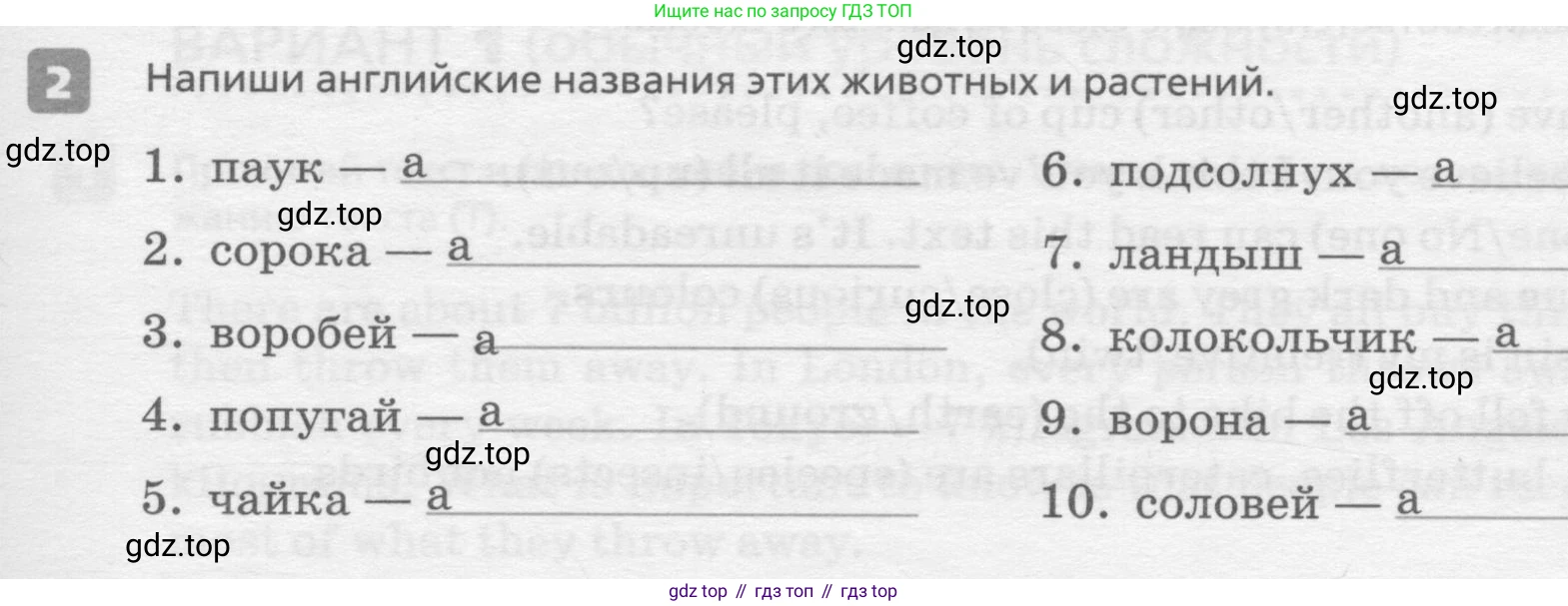 ГДЗ Английский язык (english), 7 класс Контрольные работы, авторы: Афанасьева Ольга Васильевна (Afanasyeva Olga), Михеева Ирина Владимировна (Mikheeva Irina), Баранова Ксения Михайловна (Baranova Ksenia), издательство Просвещение, Москва, 2017, белого цвета, страница 47, номер 2, Условие