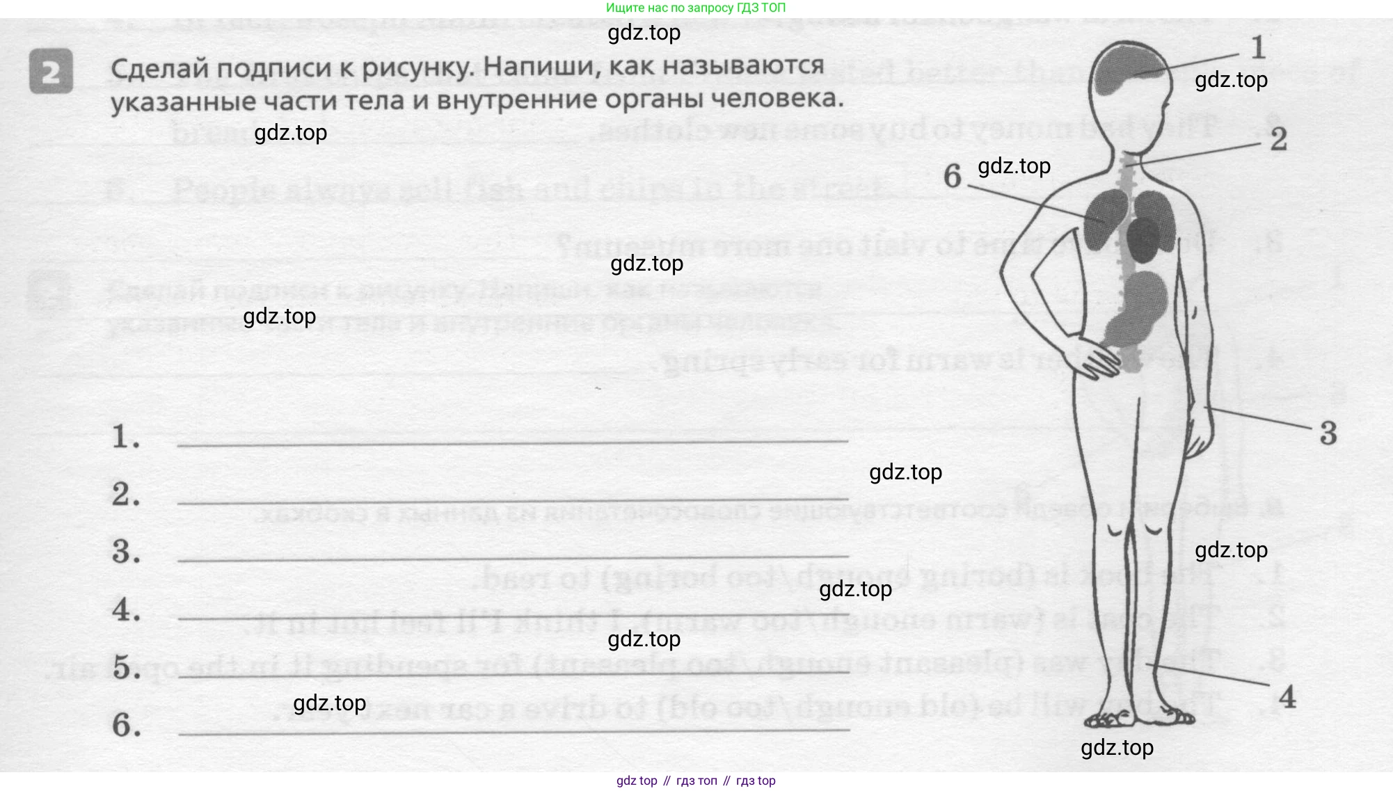 ГДЗ Английский язык (english), 7 класс Контрольные работы, авторы: Афанасьева Ольга Васильевна (Afanasyeva Olga), Михеева Ирина Владимировна (Mikheeva Irina), Баранова Ксения Михайловна (Baranova Ksenia), издательство Просвещение, Москва, 2017, белого цвета, страница 59, номер 2, Условие