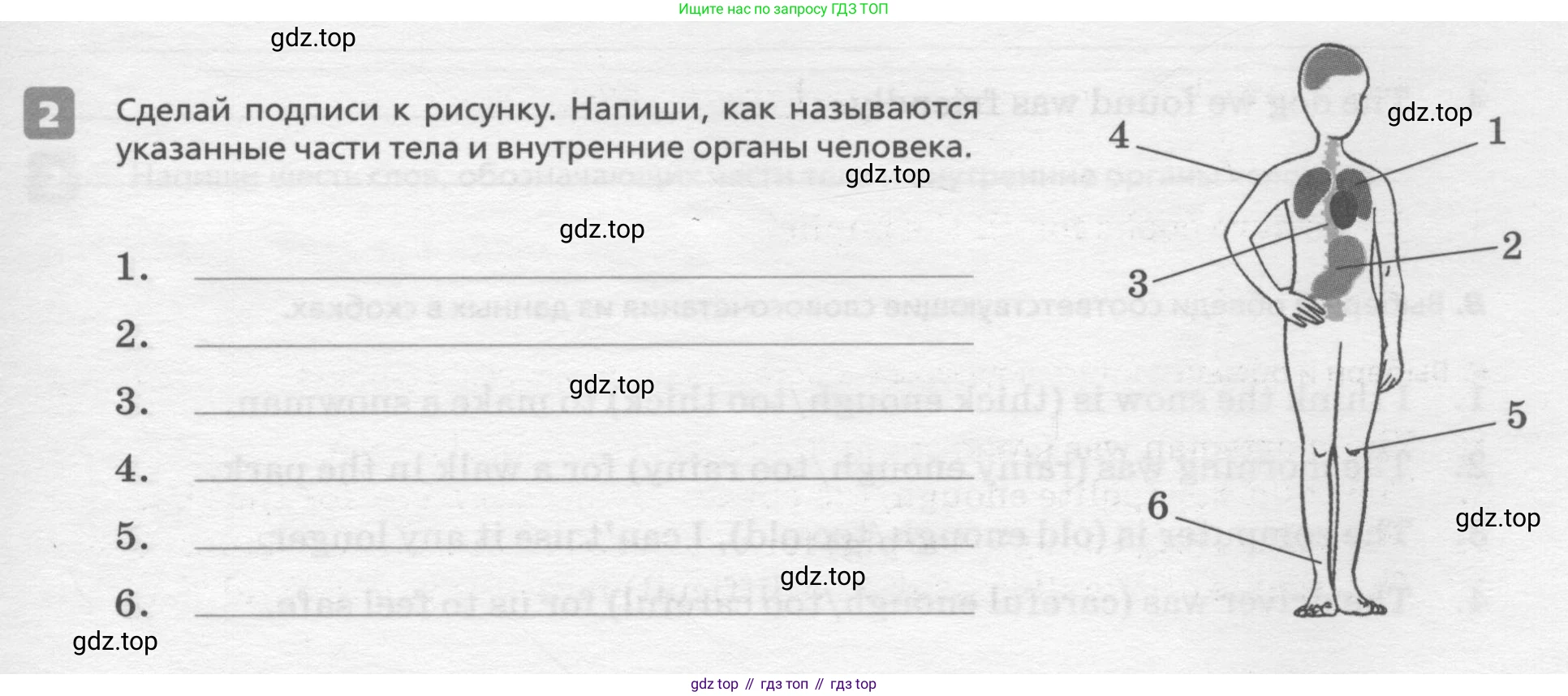 ГДЗ Английский язык (english), 7 класс Контрольные работы, авторы: Афанасьева Ольга Васильевна (Afanasyeva Olga), Михеева Ирина Владимировна (Mikheeva Irina), Баранова Ксения Михайловна (Baranova Ksenia), издательство Просвещение, Москва, 2017, белого цвета, страница 63, номер 2, Условие