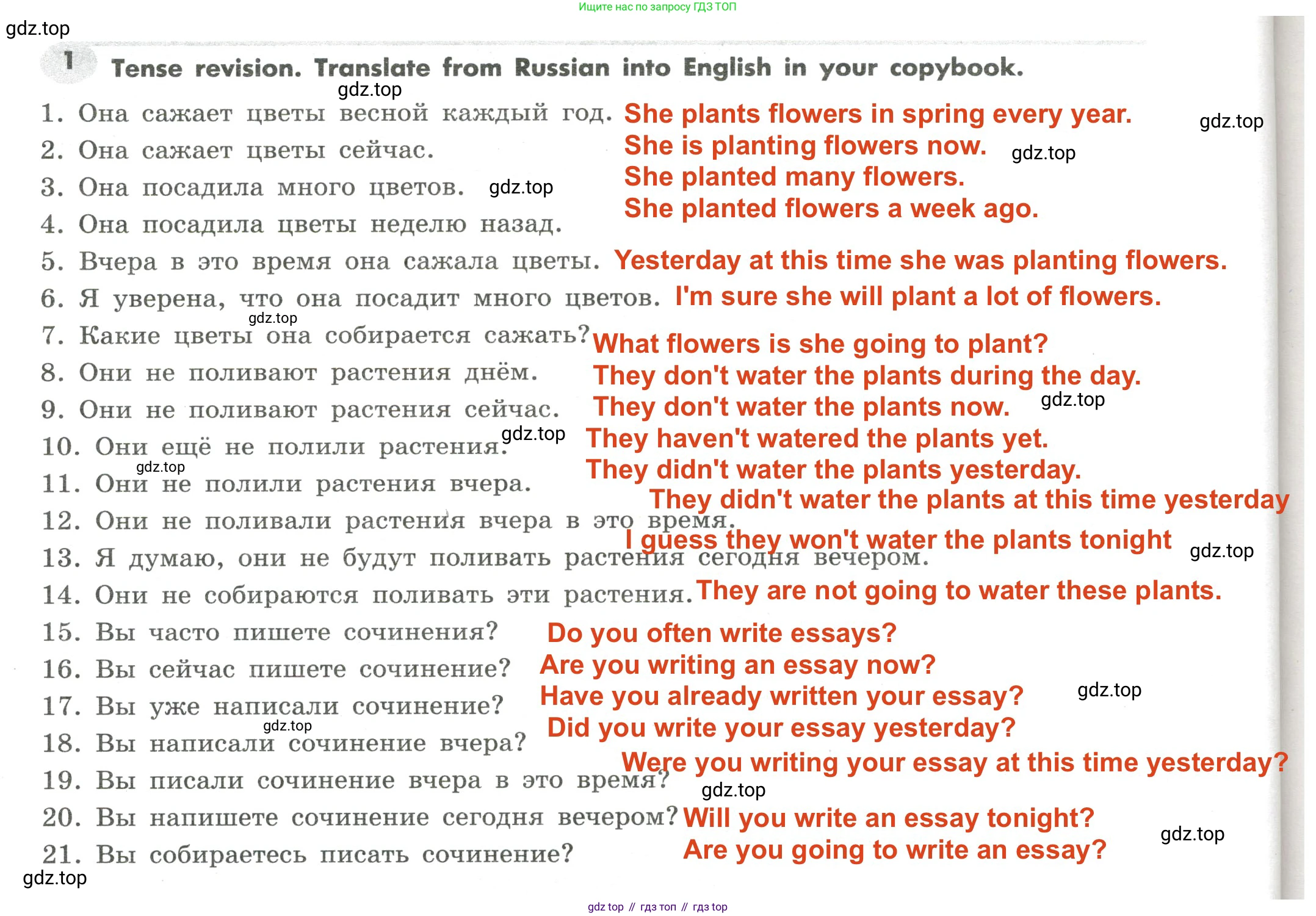 Английский язык (english), 7 класс Грамматический тренажёр, автор: Тимофеева Светлана Леонидовна, издательство Просвещение, Москва, 2023, красного цвета, страница 80, номер 1, Решение 2 (2023-2027)