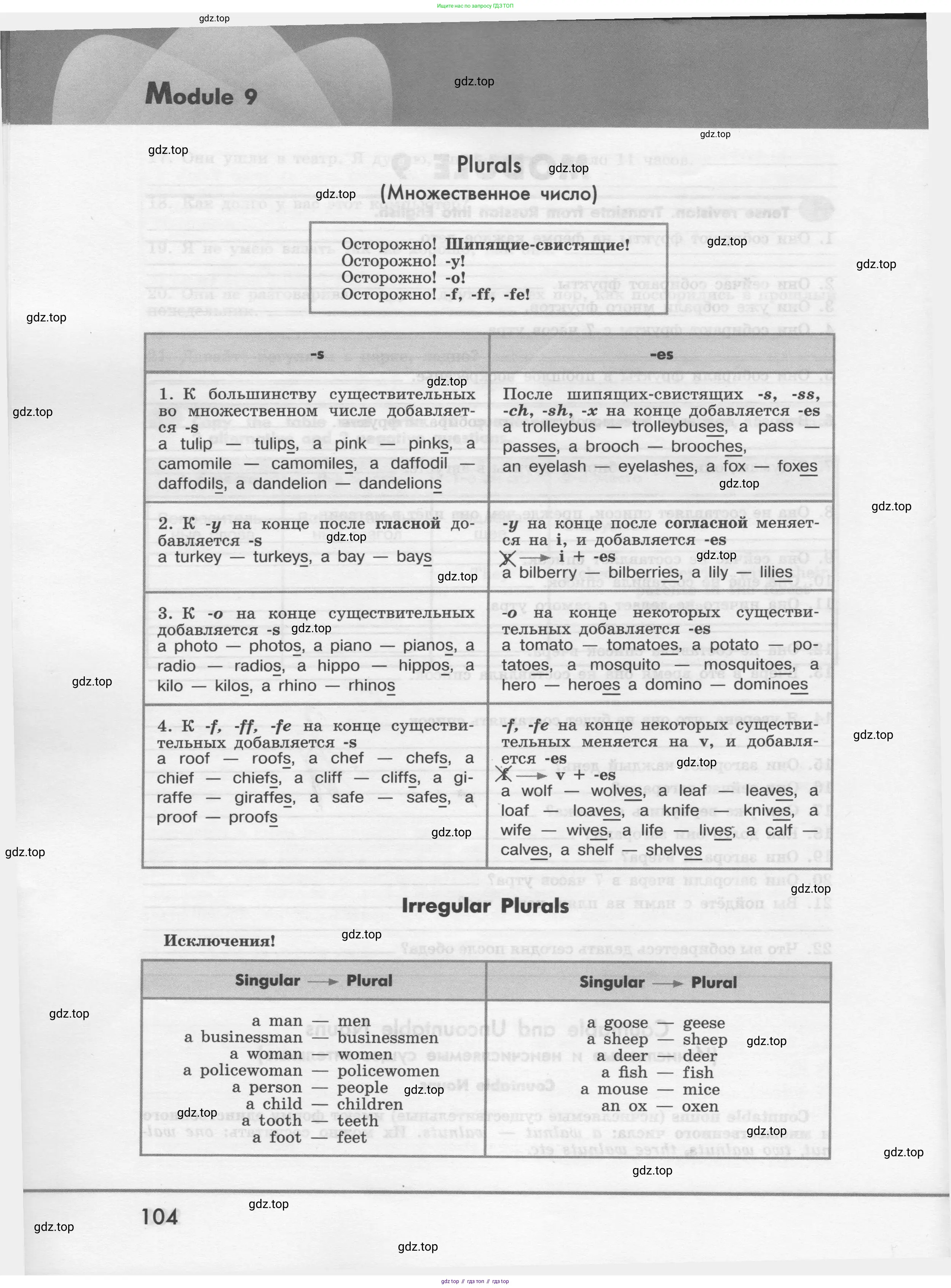 Английский язык (english), 7 класс Грамматический тренажёр, автор: Тимофеева Светлана Леонидовна, издательство Просвещение, Москва, 2023, красного цвета, страница 104