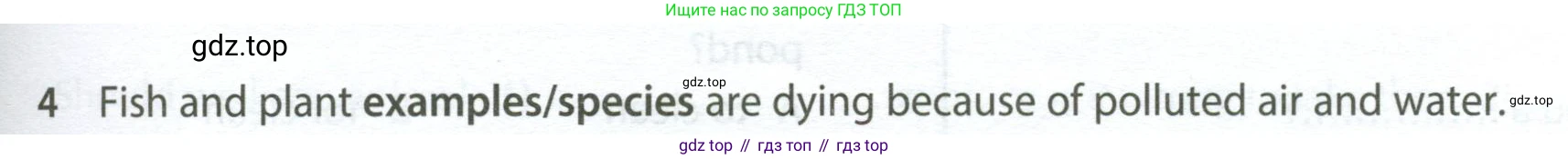 ГДЗ Английский язык (english), 7 класс контрольные задания (test booklet), авторы: Ваулина Юлия Евгеньевна (Vaulina Julia), Дули Дженни (Dooley Jenny), Подоляко Ольга Евгеньевна (Podolyako Olga), Эванс Вирджиния (Evans Virginia), издательство Просвещение, Москва, 2023, розового цвета, страница 113, номер 4, Условие 2023-2027