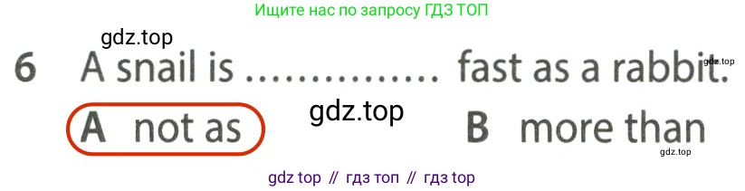 ГДЗ Английский язык (english), 7 класс контрольные задания (test booklet), авторы: Ваулина Юлия Евгеньевна (Vaulina Julia), Дули Дженни (Dooley Jenny), Подоляко Ольга Евгеньевна (Podolyako Olga), Эванс Вирджиния (Evans Virginia), издательство Просвещение, Москва, 2023, розового цвета, страница 110, номер 6, Решение 2 (2023-2027)