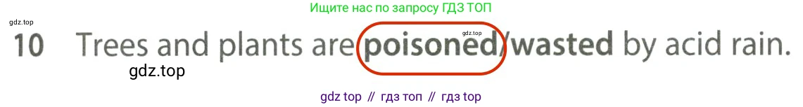 ГДЗ Английский язык (english), 7 класс контрольные задания (test booklet), авторы: Ваулина Юлия Евгеньевна (Vaulina Julia), Дули Дженни (Dooley Jenny), Подоляко Ольга Евгеньевна (Podolyako Olga), Эванс Вирджиния (Evans Virginia), издательство Просвещение, Москва, 2023, розового цвета, страница 113, номер 10, Решение 2 (2023-2027)