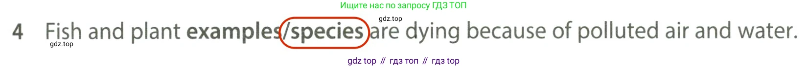ГДЗ Английский язык (english), 7 класс контрольные задания (test booklet), авторы: Ваулина Юлия Евгеньевна (Vaulina Julia), Дули Дженни (Dooley Jenny), Подоляко Ольга Евгеньевна (Podolyako Olga), Эванс Вирджиния (Evans Virginia), издательство Просвещение, Москва, 2023, розового цвета, страница 113, номер 4, Решение 2 (2023-2027)