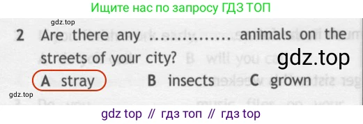 ГДЗ Английский язык (english), 7 класс контрольные задания (test booklet), авторы: Ваулина Юлия Евгеньевна (Vaulina Julia), Дули Дженни (Dooley Jenny), Подоляко Ольга Евгеньевна (Podolyako Olga), Эванс Вирджиния (Evans Virginia), издательство Просвещение, Москва, 2023, розового цвета, страница 103, номер 2, Решение 2 (2023-2027)