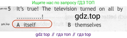 ГДЗ Английский язык (english), 7 класс контрольные задания (test booklet), авторы: Ваулина Юлия Евгеньевна (Vaulina Julia), Дули Дженни (Dooley Jenny), Подоляко Ольга Евгеньевна (Podolyako Olga), Эванс Вирджиния (Evans Virginia), издательство Просвещение, Москва, 2023, розового цвета, страница 120, номер 5, Решение 2 (2023-2027)