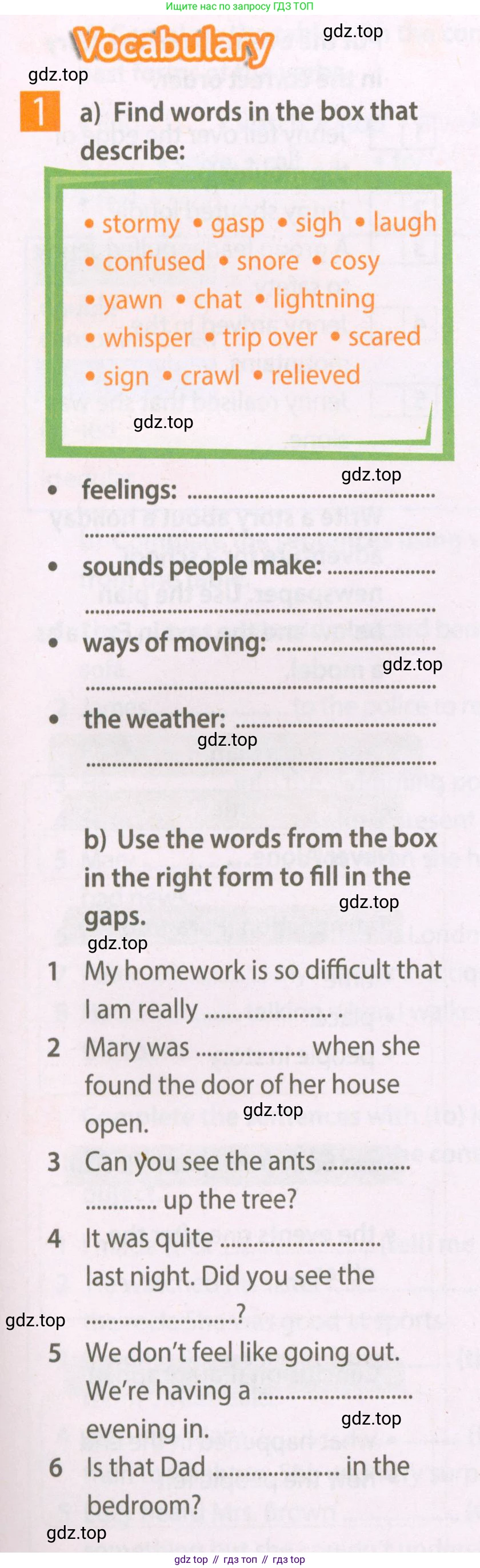Английский язык (english), 7 класс Рабочая тетрадь (workbook), авторы: Ваулина Юлия Евгеньевна (Vaulina Julia), Дули Дженни (Dooley Jenny), Подоляко Ольга Евгеньевна (Podolyako Olga), Эванс Вирджиния (Evans Virginia), издательство Просвещение, Москва, 2023, красного цвета, страница 13, номер 1, Условие 2023-2027