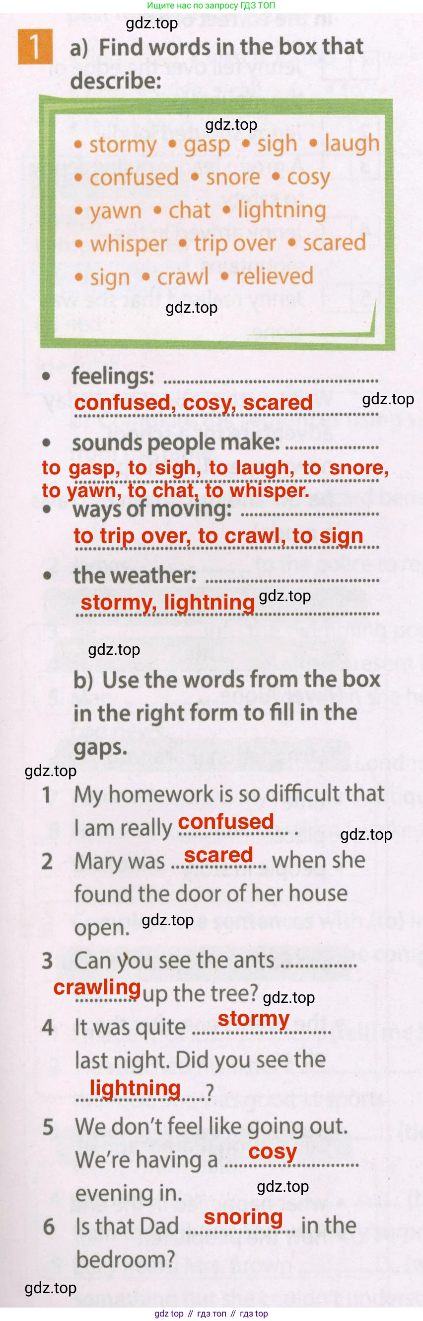 Английский язык (english), 7 класс Рабочая тетрадь (workbook), авторы: Ваулина Юлия Евгеньевна (Vaulina Julia), Дули Дженни (Dooley Jenny), Подоляко Ольга Евгеньевна (Podolyako Olga), Эванс Вирджиния (Evans Virginia), издательство Просвещение, Москва, 2023, красного цвета, страница 13, номер 1, Решение 2 (2023-2027)