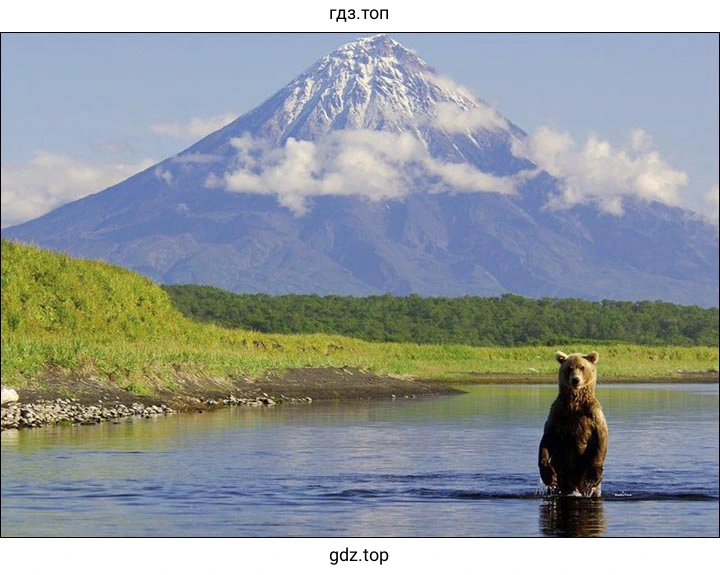 Kamchatka Peninsula Nature Reserve