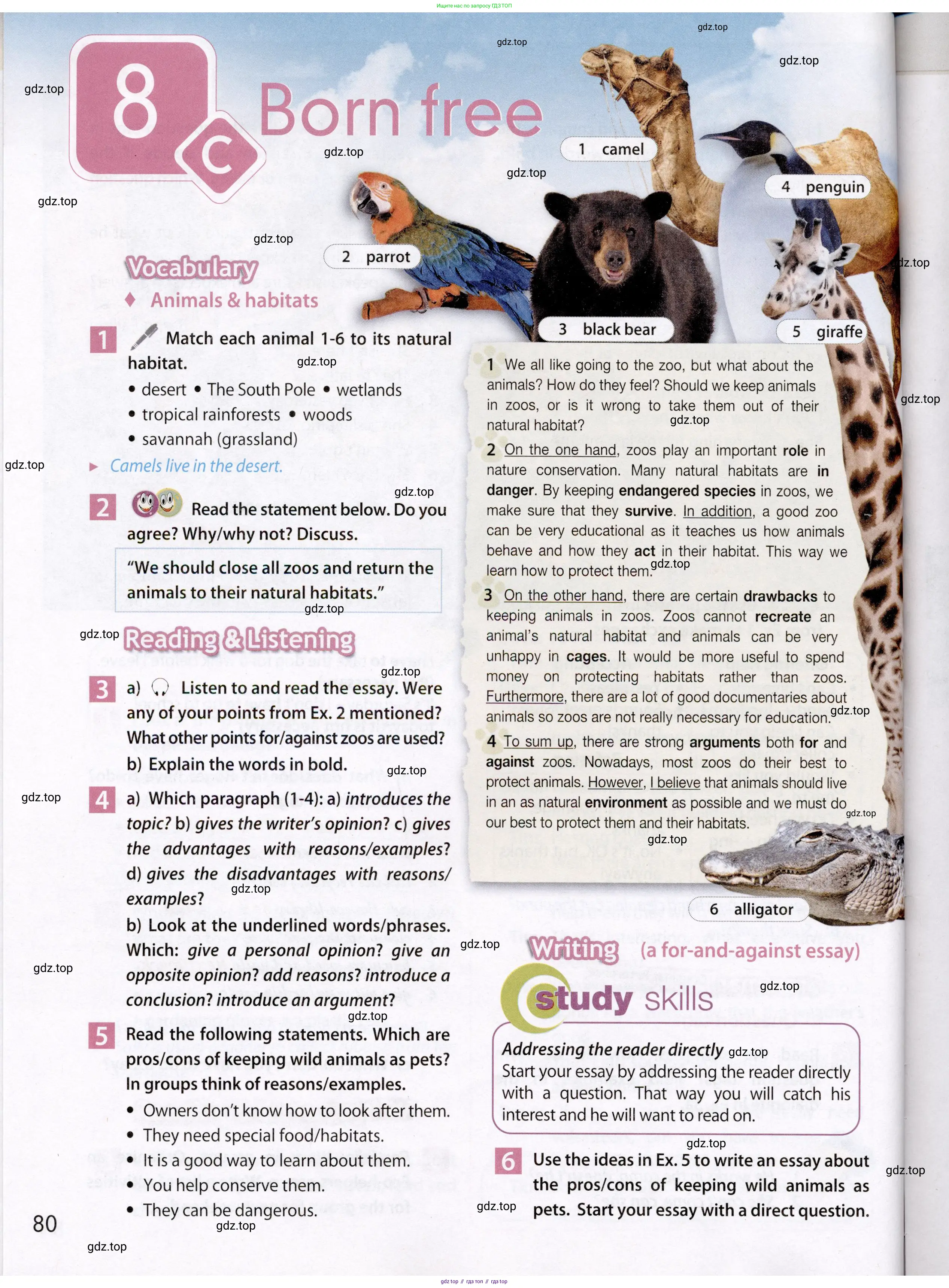 Английский язык (english), 7 класс Учебник (Student's book), авторы: Ваулина Юлия Евгеньевна (Vaulina Julia), Дули Дженни (Dooley Jenny), Подоляко Ольга Евгеньевна (Podolyako Olga), Эванс Вирджиния (Evans Virginia), издательство Просвещение, Москва, 2023, красного цвета, страница 80