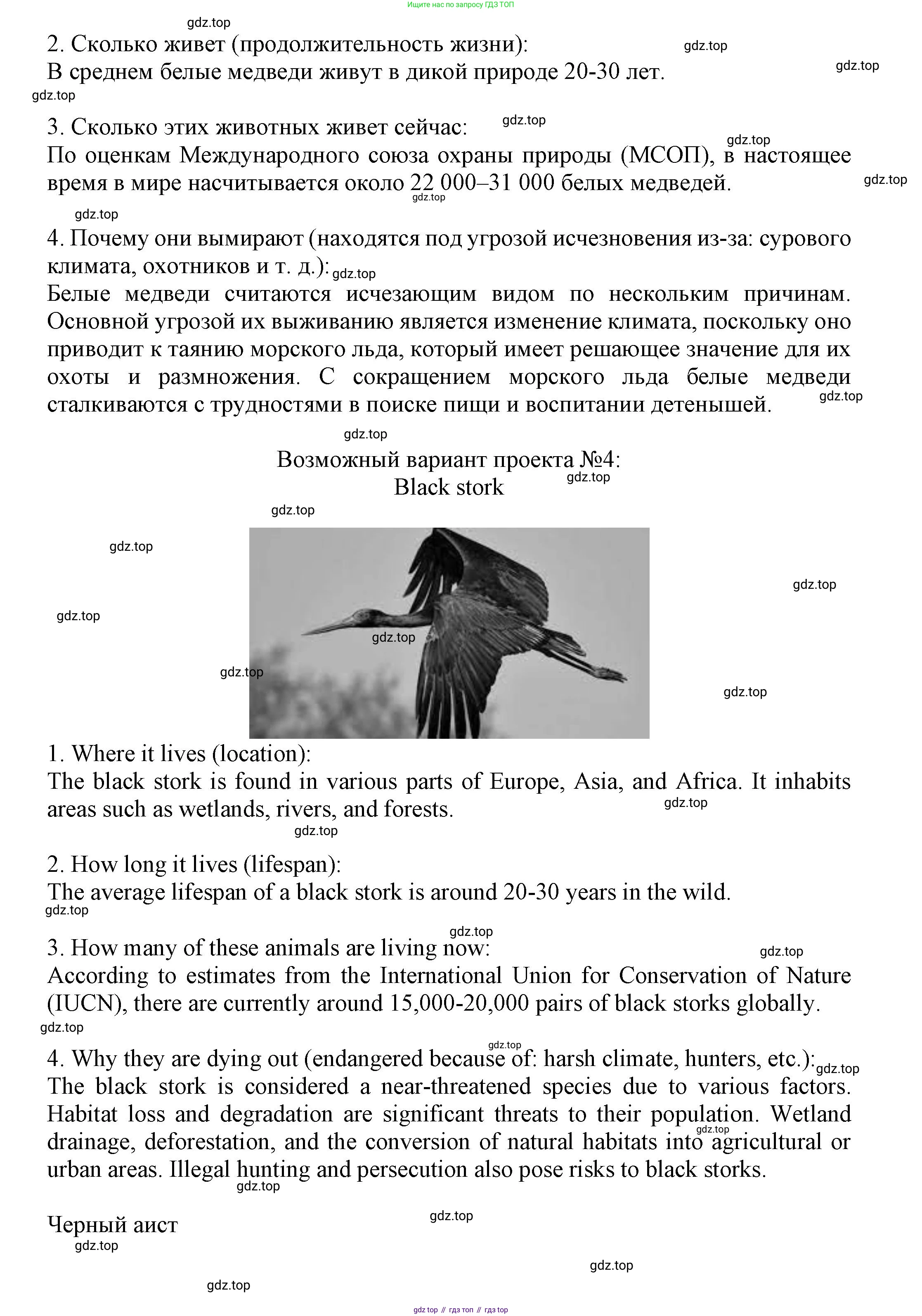 Английский язык (english), 7 класс Языковой портфель (my language portfolio), авторы: Ваулина Юлия Евгеньевна (Vaulina Julia), Дули Дженни (Dooley Jenny), Подоляко Ольга Евгеньевна (Podolyako Olga), Эванс Вирджиния (Evans Virginia), издательство Просвещение, Москва, 2018, серого цвета, страница 49, Решение (продолжение 5)