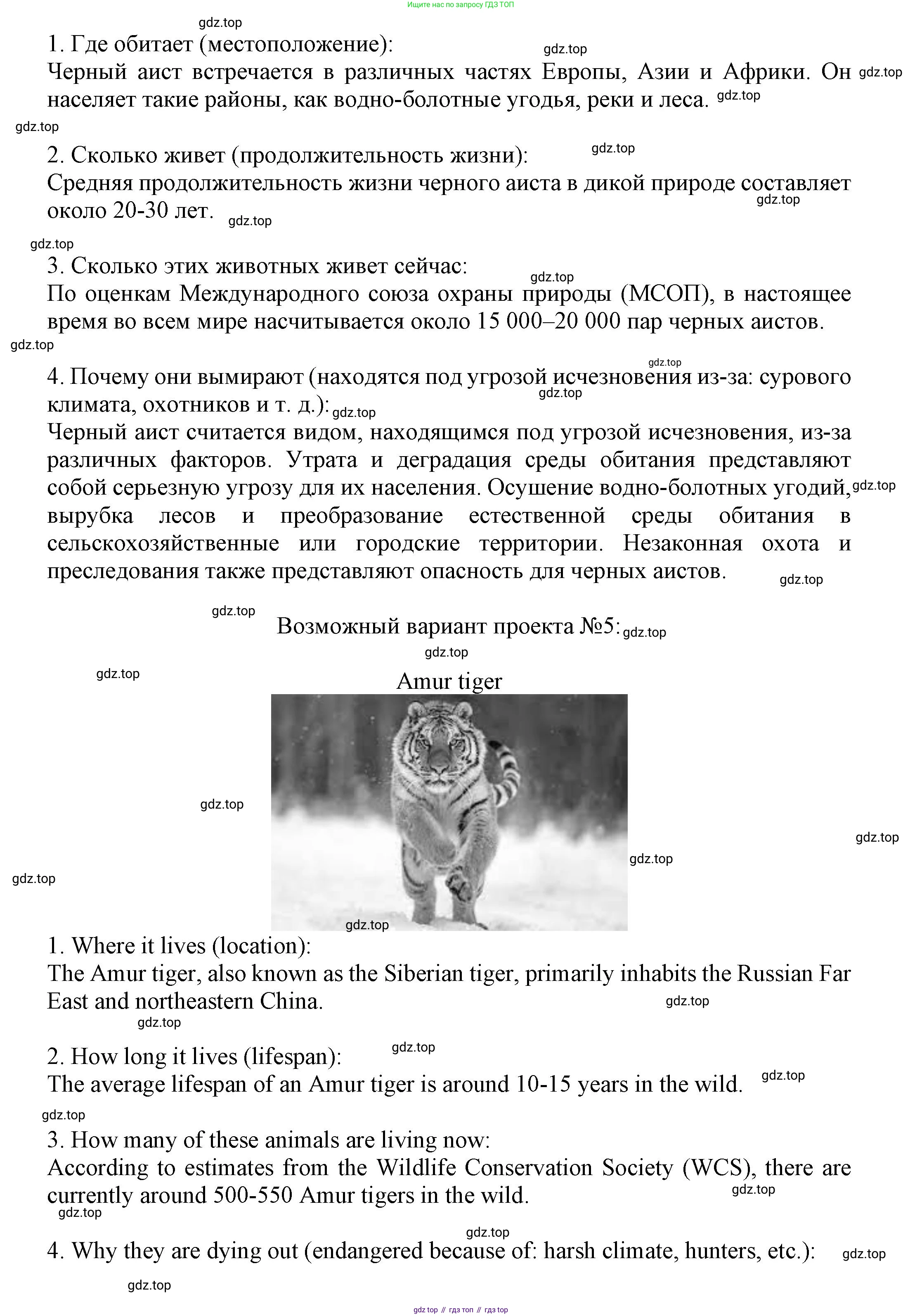 Английский язык (english), 7 класс Языковой портфель (my language portfolio), авторы: Ваулина Юлия Евгеньевна (Vaulina Julia), Дули Дженни (Dooley Jenny), Подоляко Ольга Евгеньевна (Podolyako Olga), Эванс Вирджиния (Evans Virginia), издательство Просвещение, Москва, 2018, серого цвета, страница 49, Решение (продолжение 6)