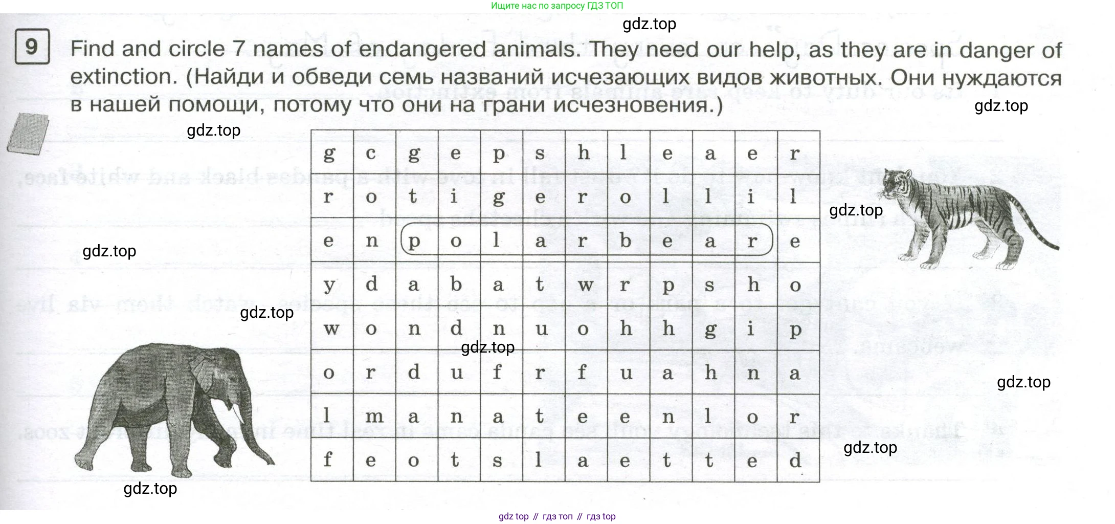 Английский язык (english), 7 класс Практикум, авторы: Вербицкая Мария Валерьевна (Verbitskaya Maria), Лубина Елена Назимовна (Lubina Elena), издательство Просвещение, Москва, 2020, страница 25, номер 9, Условие